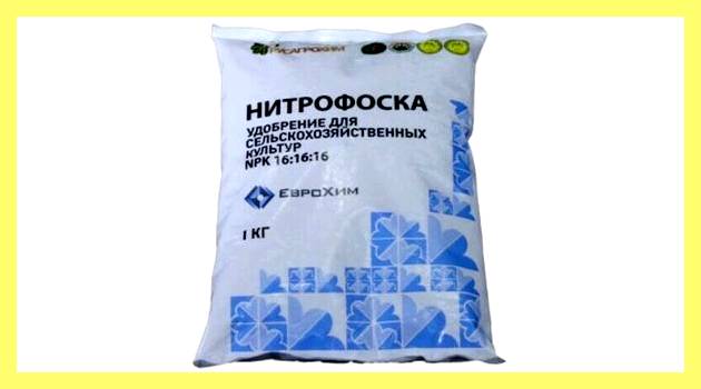 Чем подсветить рассаду на подоконнике (подсветить, рассада, подоконник, подсвечивать рассаду подоконнике, Дочка помогает собирать) Чем подсветить рассаду на подоконнике