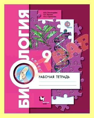 Что такое хвойники рабочая тетрадь (хвойник, рабочий, тетрадь, Бактерии грибы растения, Бактерии грибы растения класс, Биология Бактерии грибы) Что такое хвойники рабочая тетрадь