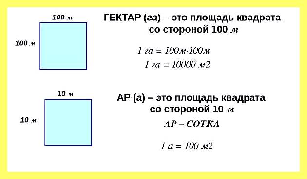 Чему равна сотка земли в квадратных метрах