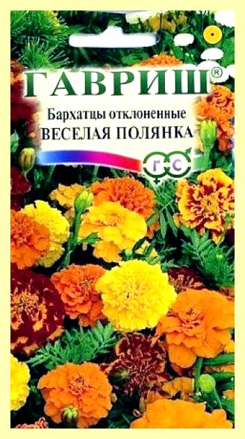 Через сколько взойдет газонная трава после посева (сколько, взойти, газонный, трава) Через сколько взойдет газонная трава после посева