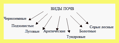 Чернозем какие области (чернозем, какой, область, серые лесные почвы, больше всего чернозема, Самые плодородные почвы) Чернозем какие области