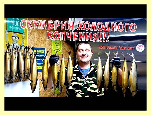 Электро коптилка холодного копчения (электро, коптилка, холодное, копчение) Электро коптилка холодного копчения