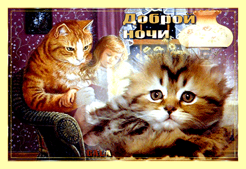 Что такое трехкамерное окно