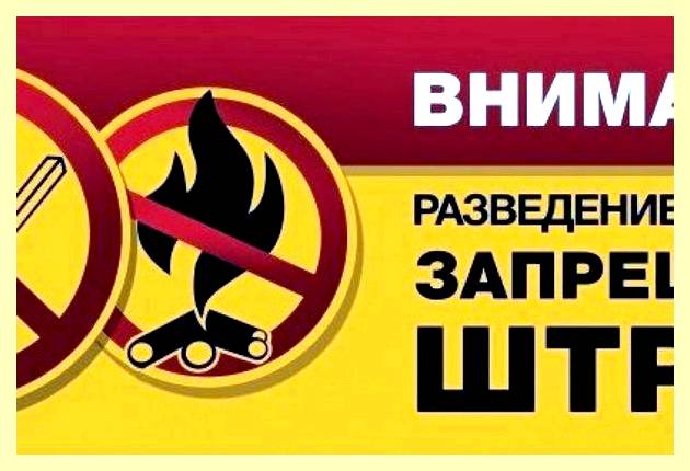 Штраф за разведение костра на участке 2021