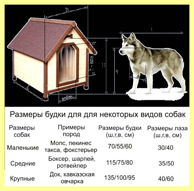 Чертеж собачьей будки для средней собаки