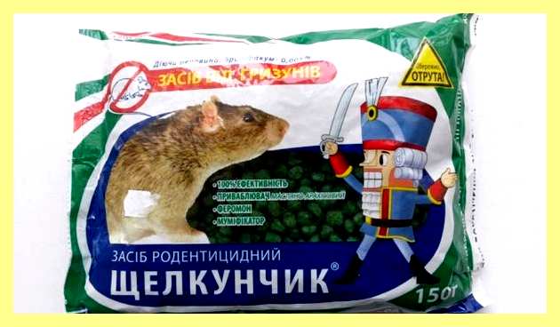Эффективные средства от мышей на даче
