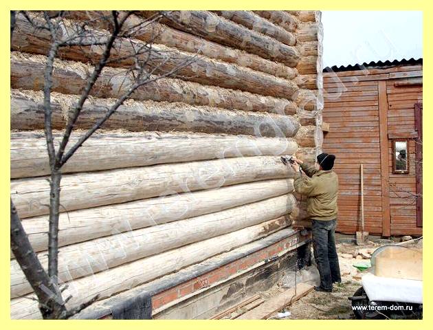Шлифовка стен сруба (шлифовка, стен, сруб, нужна шлифовка сруба) Шлифовка стен сруба