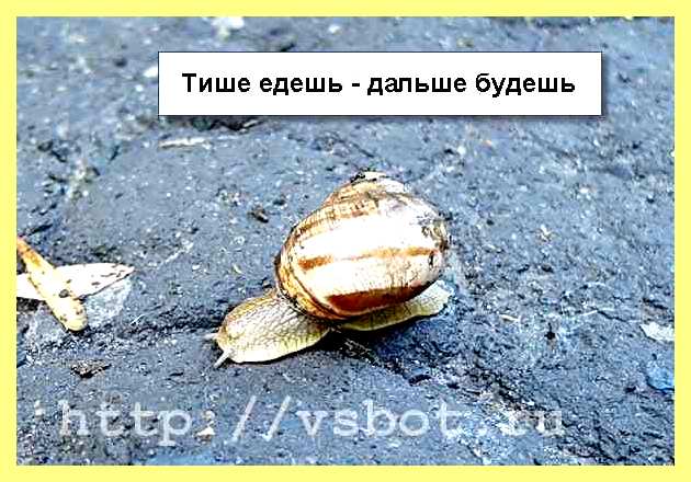 Чем пробурить отверстие в земле (пробурить, отверстие, земля, лопасти можно сделать, лопасти можно сделать съемными, лопасти можно сделать съемными болтах) Чем пробурить отверстие в земле