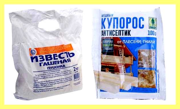 Чем обработать плесень на дереве в подвале