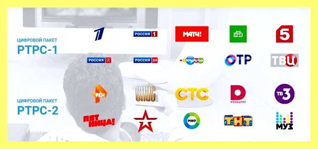Чем убить мышь в домашних условиях (убить, мышь, домашний, условие) Чем убить мышь в домашних условиях