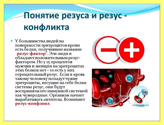 Экологический дом реферат (экологический, реферат, использование невозобновимых источников, аккумуляторе теплицей Биоботаническая, аккумуляторе теплицей Биоботаническая площадка, аккумуляторе теплицей Биоботаническая площадка выполняет) Экологический дом реферат