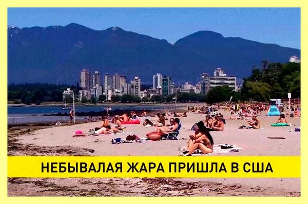 Что такое снт онт