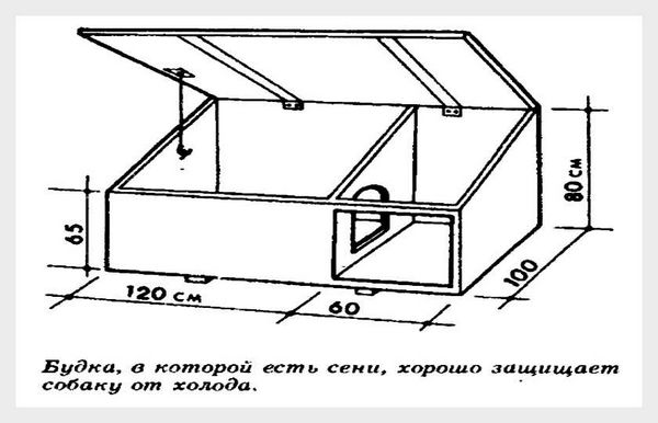 Чертеж будки для собаки с односкатной крышей