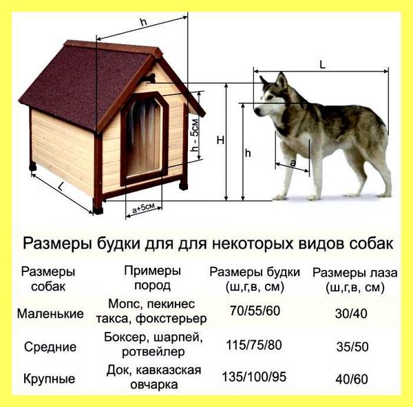 Чертеж будки для большой собаки с размерами