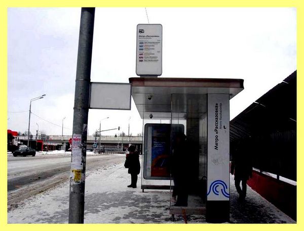 Что можно построить на садовом земельном участке