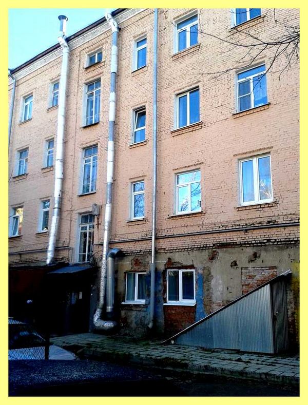Что посадить в центре газона