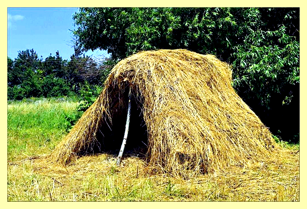 Шалаш из веток своими