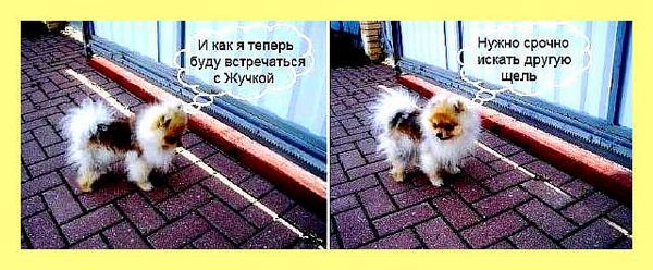 Чем закрыть щель под воротами во дворе (закрыть, щель, ворот, двор) Чем закрыть щель под воротами во дворе