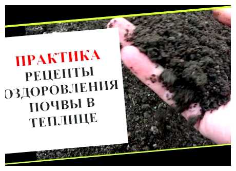 Как приготовить землю под голубику (голубика, почву голубики, почвы голубики, подготовить почву) Как приготовить землю под голубику