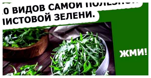 Какую зелень можно выращивать на одной грядке (какой, зелень, можно, выращивать, один, грядка) Какую зелень можно выращивать на одной грядке