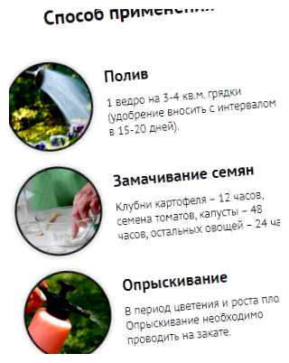 Какие удобрения любит морковь (удобрение, морковь, выращивания моркови, питательными веществами, структуру почвы, удобрения Органические) Какие удобрения любит морковь