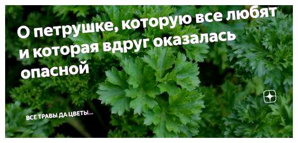 Кого отпугивает петрушка