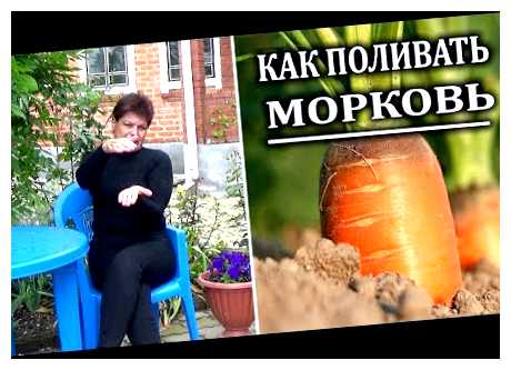 Нужно ли поливать всходы моркови