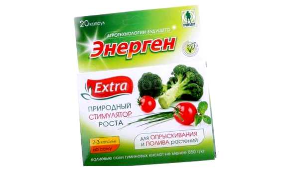 Чем обработать семена для быстрого прорастания (семя, прорастание, обработка семян, обработки семян) Чем обработать семена для быстрого прорастания