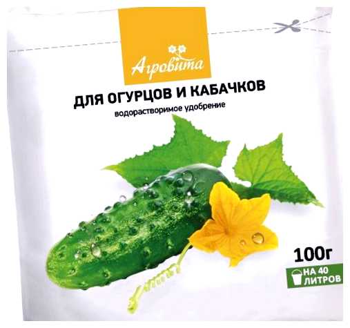 Чем полить огурцы чтобы было много огурцов