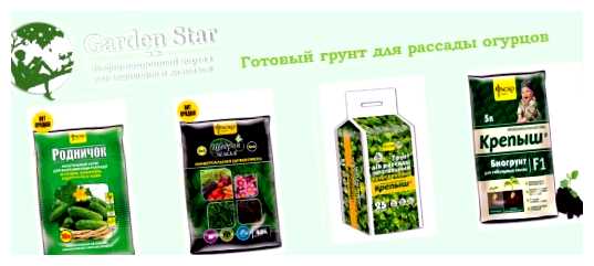 Что добавить в грунт для огурцов (добавить, грунт, грунт огурцов, питательными веществами, грунта огурцов) Что добавить в грунт для огурцов