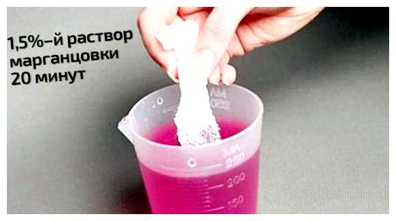Нужно ли замачивать перед посадкой семена моркови (нужно, замачивать, перед, посадка) Нужно ли замачивать перед посадкой семена моркови
