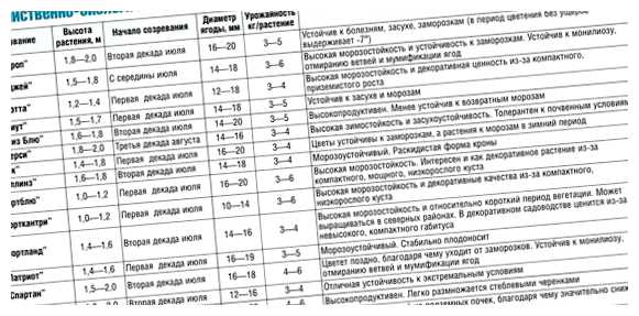 Что нужно для роста голубики