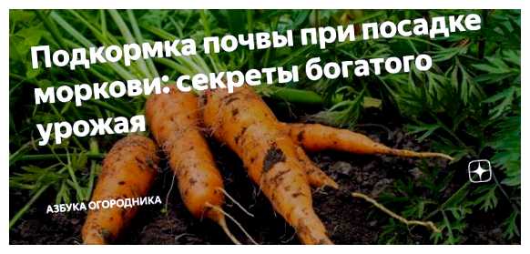 Что нужно внести в почву при посадке моркови