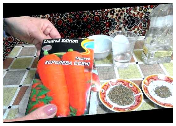 Что сделать для быстрой всхожести семян моркови (всхожесть, семя, морковь, семян моркови, всхожести семян) Что сделать для быстрой всхожести семян моркови