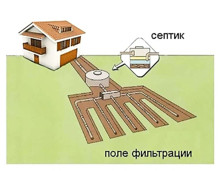 Чем мыть унитаз при септике с бактериями