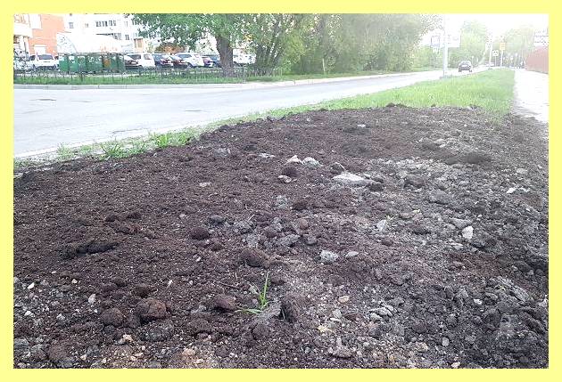 Чернозем какие области