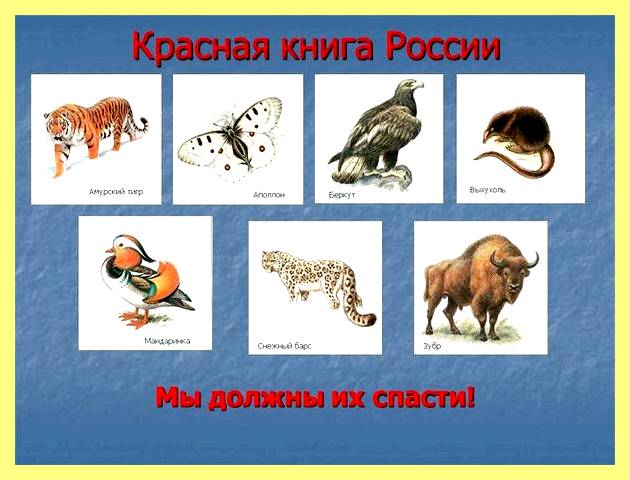 Чем отделить нишу от комнаты