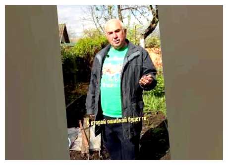 Что не любит морковь при посадке