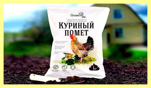 Что нельзя поливать дрожжами в огороде
